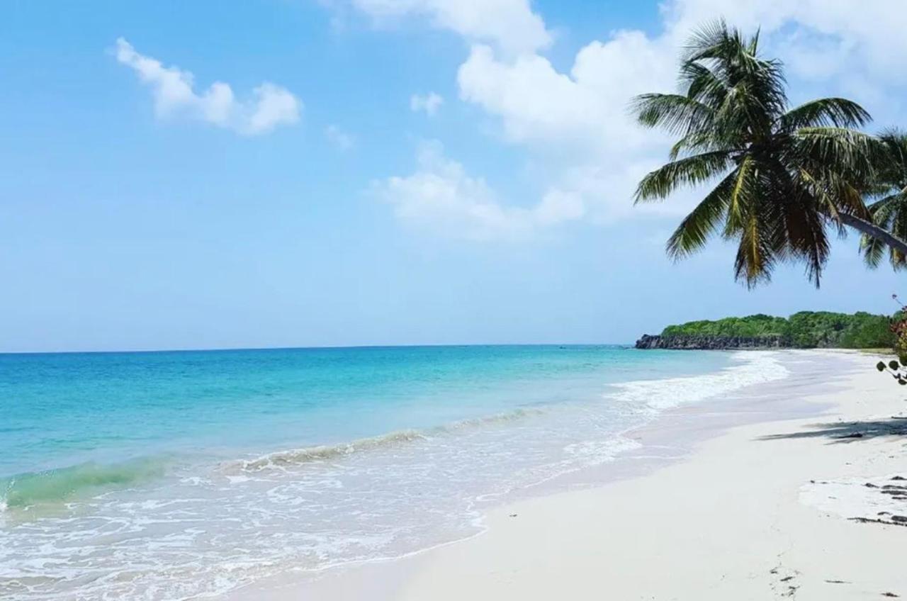 - Les Pieds Dans L'Eau A 50M De La Plage, Cote Mer Caraibe - Domaine De L'Anse Caritan - Sainte-Anne - Экстерьер фото