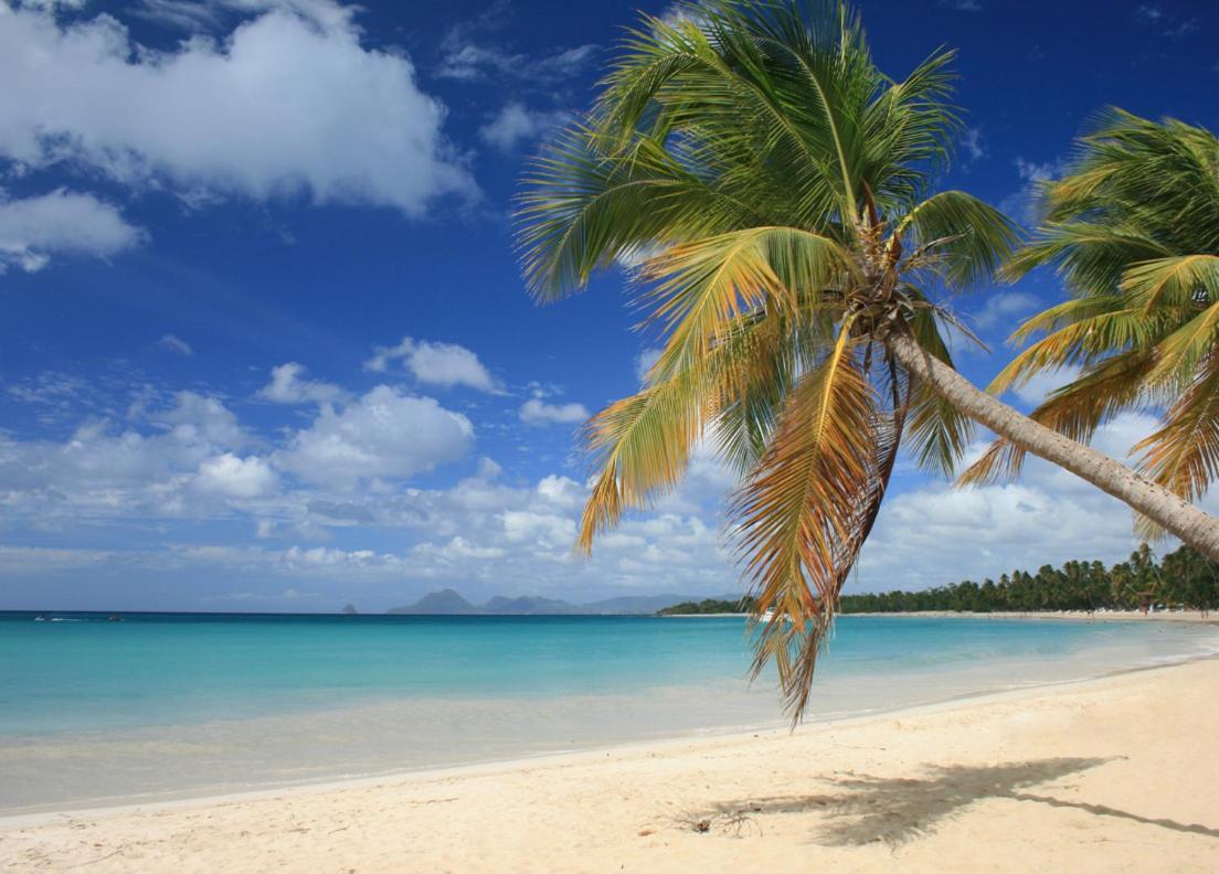- Les Pieds Dans L'Eau A 50M De La Plage, Cote Mer Caraibe - Domaine De L'Anse Caritan - Sainte-Anne - Экстерьер фото